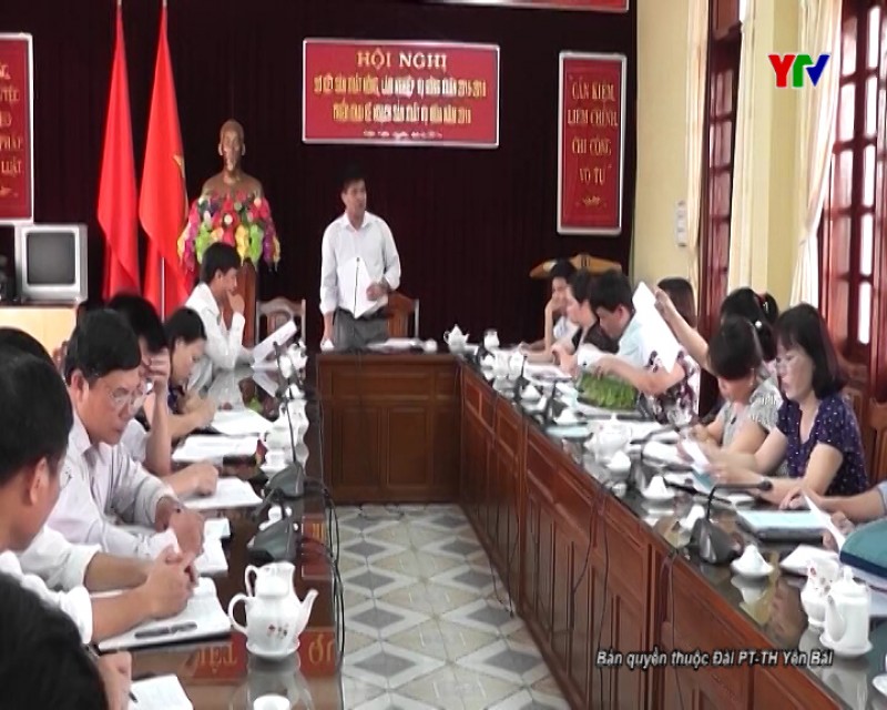Huyện Trấn Yên triển khai kế hoạch sản xuất vụ mùa năm 2016