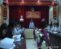 Hội Người cao tuổi tỉnh Yên Bái triển khai nhiệm vụ những tháng cuối năm 2017