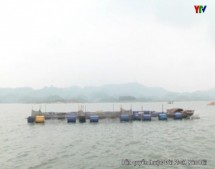 Huyện Yên Bình hỗ trợ nuôi trồng thủy sản theo Đề án tái cơ cấu ngành nông nghiệp