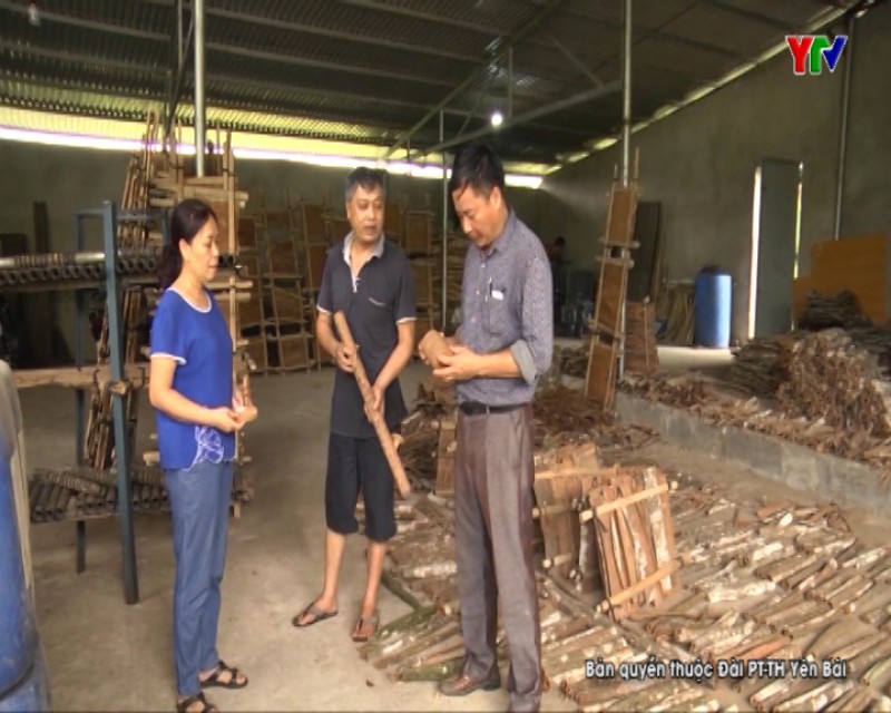 Phát triển nghề thủ công mỹ nghệ ở vùng quế Văn Yên