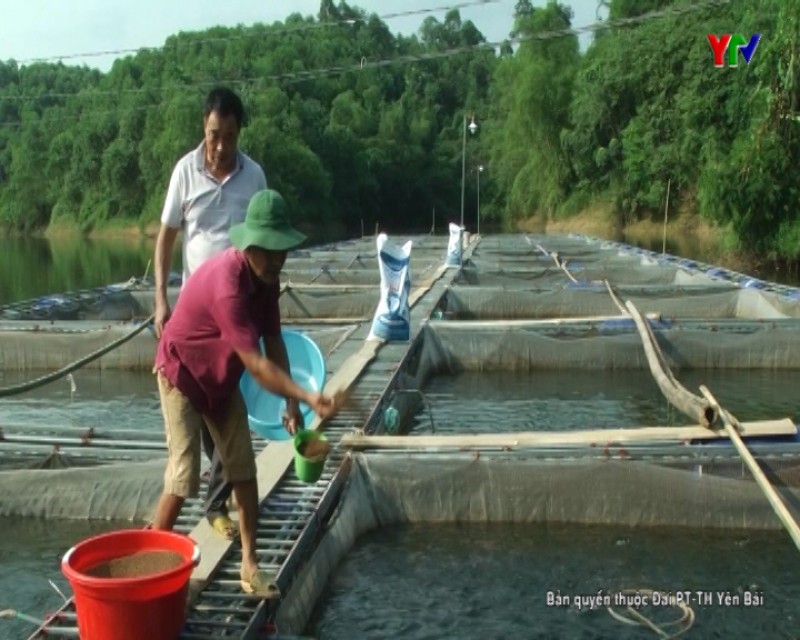 Liên kết phát triển thủy sản mở hướng làm giàu cho nông dân