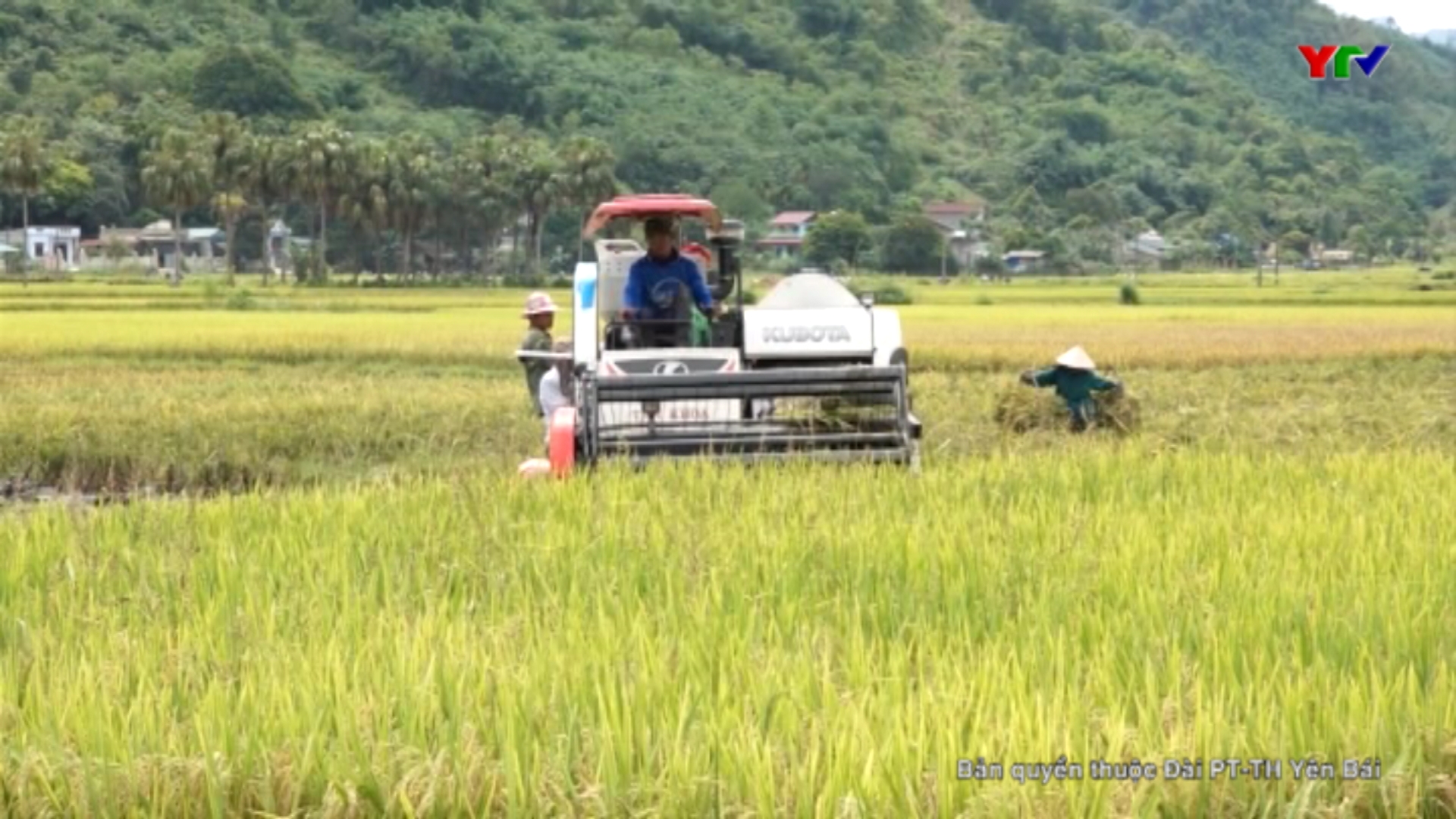 Hiệu quả từ việc đưa cơ giới hóa vào sản xuất nông nghiệp ở Lục Yên