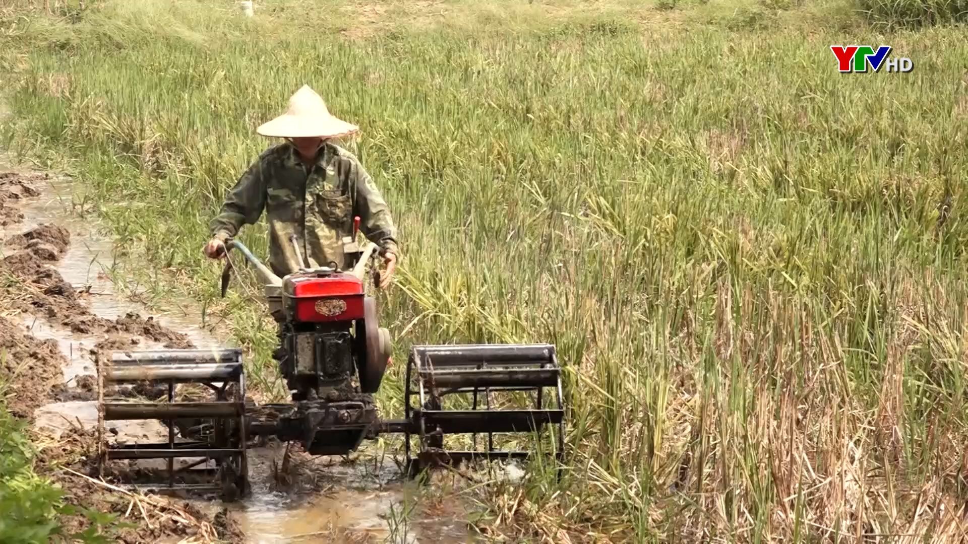 Huyện Lục Yên tập trung sản xuất vụ mùa
