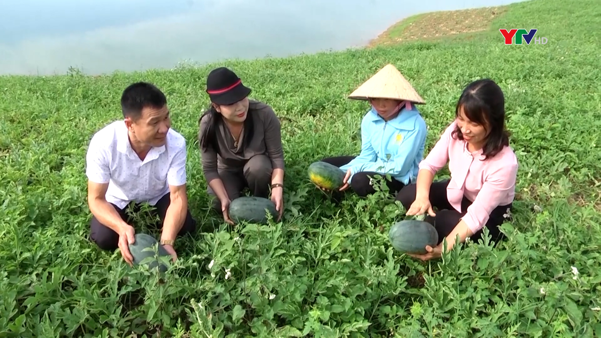 Những mô hình nông nghiệp ở Yên Bình