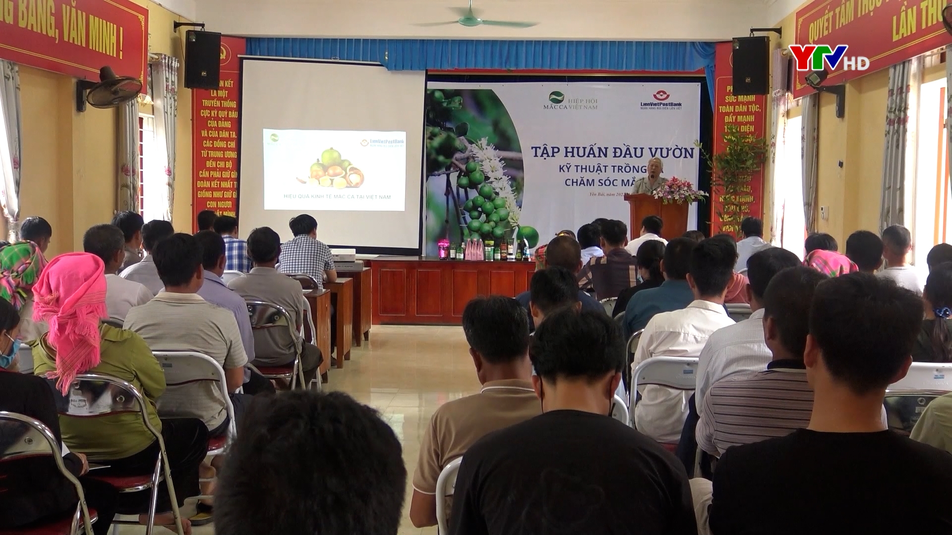 Tập huấn trồng, chăm sóc cây mắc ca tại xã Gia Hội, huyện Văn Chấn