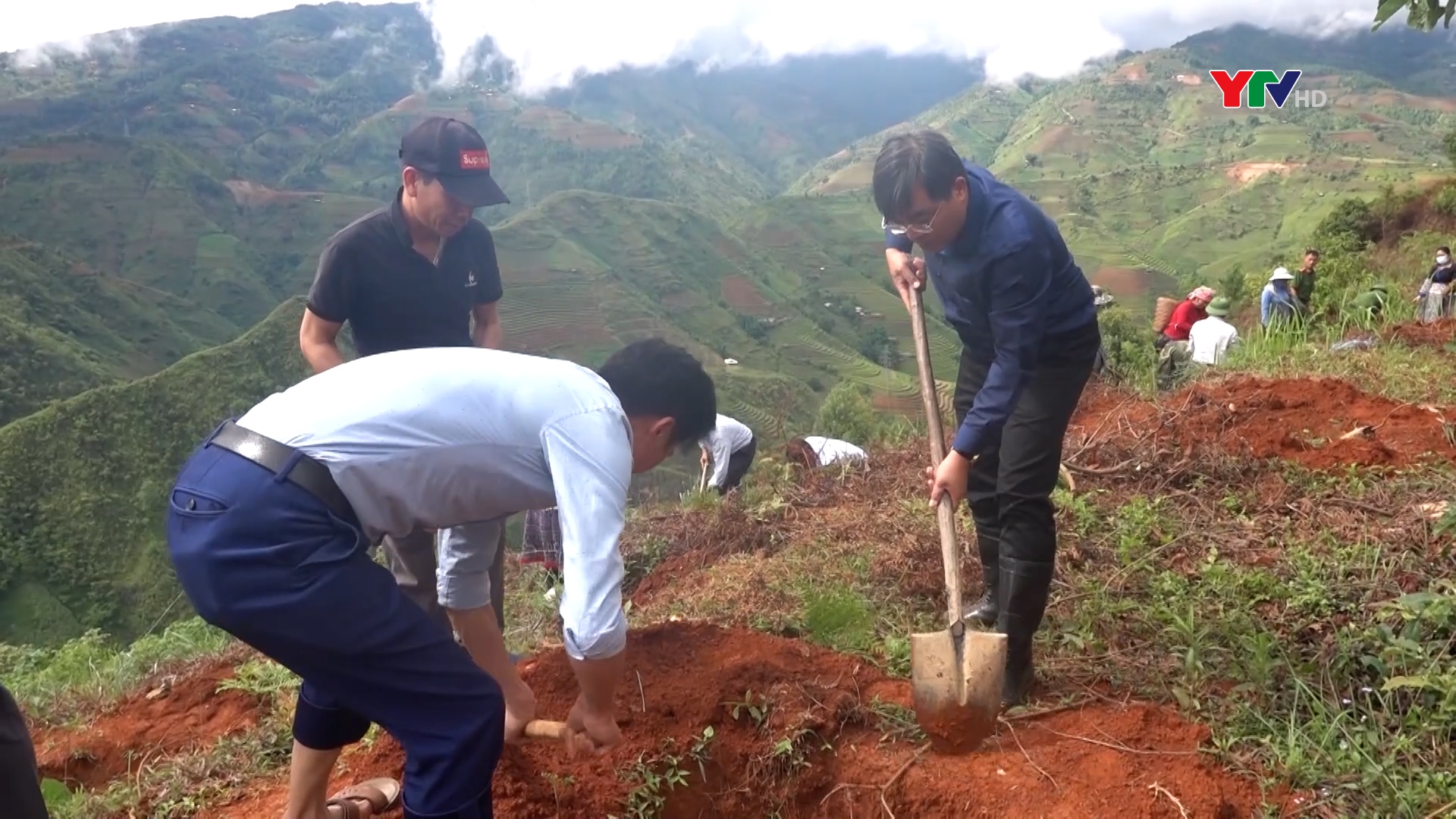 Huyện Mù Cang Chải ra quân trồng 2h hồng giòn tại xã Lao Chải
