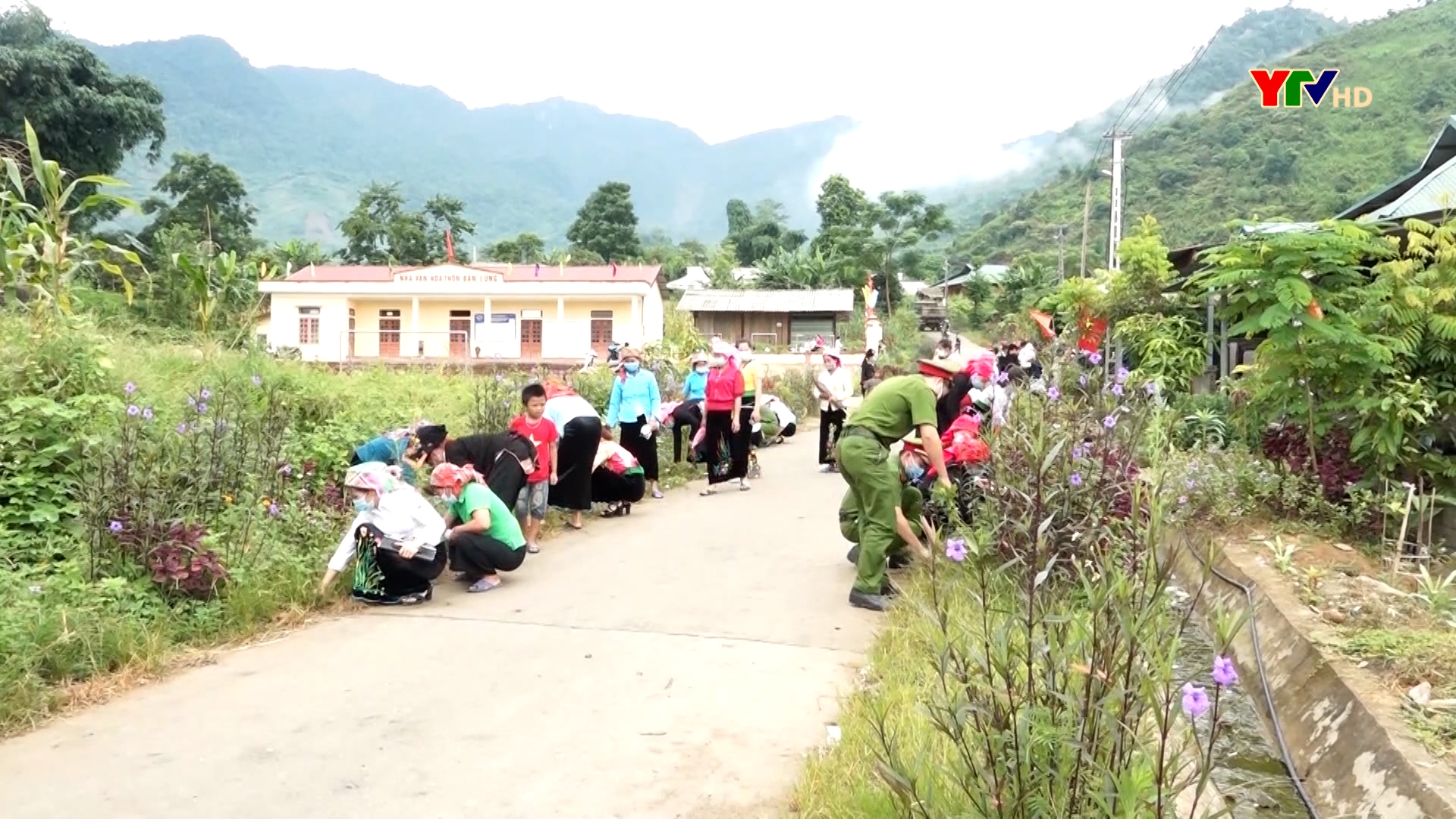 Các cấp hội Phụ nữ huyện Văn Yên trồng được 36 tuyến đường hoa