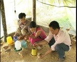 Hiệu quả hợp phần phát triển chăn nuôi tại huyện Lục Yên