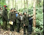 Tỷ lệ che phủ rừng của huyện Trấn Yên đạt 68%