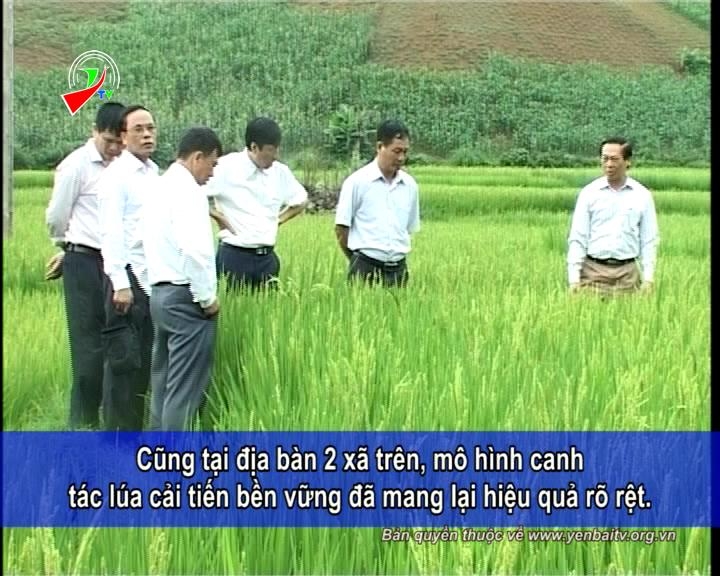 Liên hiệp các hội KHKT tỉnh YB với các dự án xóa đói giảm nghèo ( Tiếng Mông )
