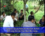 Hiệu quả của dự án phát triển, bảo tồn các bài thuốc dân tộc Và nguồn cây thuốc bản địa ở xã Cảm Ân huyện Yên Bình ( Tiếng Mông )