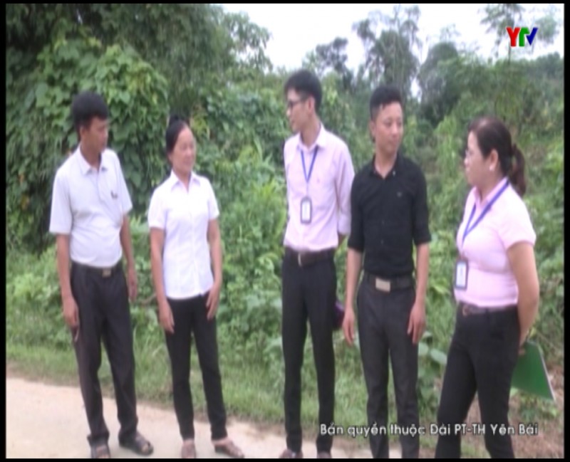 Ngân hàng CSXH huyện Trấn Yên đồng hành cùng nông dân