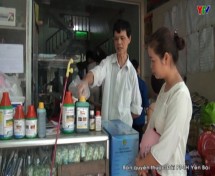 Báo động tình trạng tự tử bằng thuốc bảo vệ thực vật ở Lục Yên