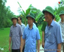 Đồng chí Chủ tịch UBND tỉnh Đỗ Đức Duy kiểm tra tình hình thiệt hại do mưa, lũ gây ra tại huyện Lục Yên