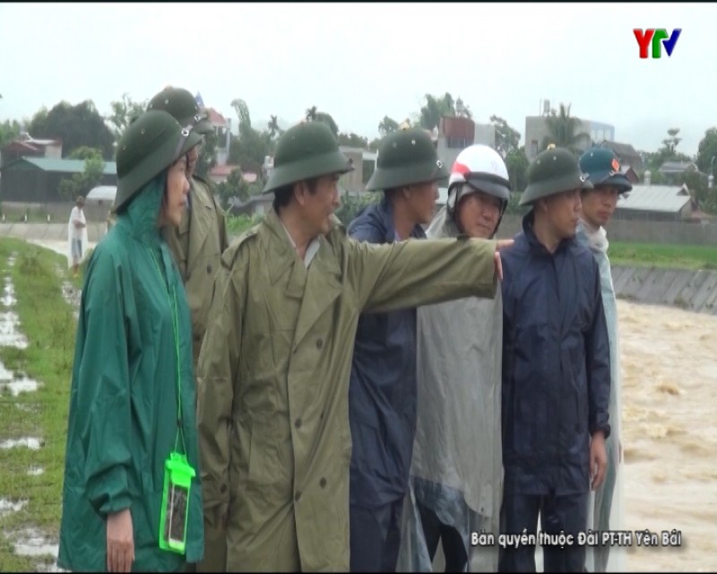 Đ/c Trưởng Ban dân vận Tỉnh ủy Hoàng Xuân Nguyên kiểm tra công tác khắc phục bão lũ tại thị xã Nghĩa Lộ