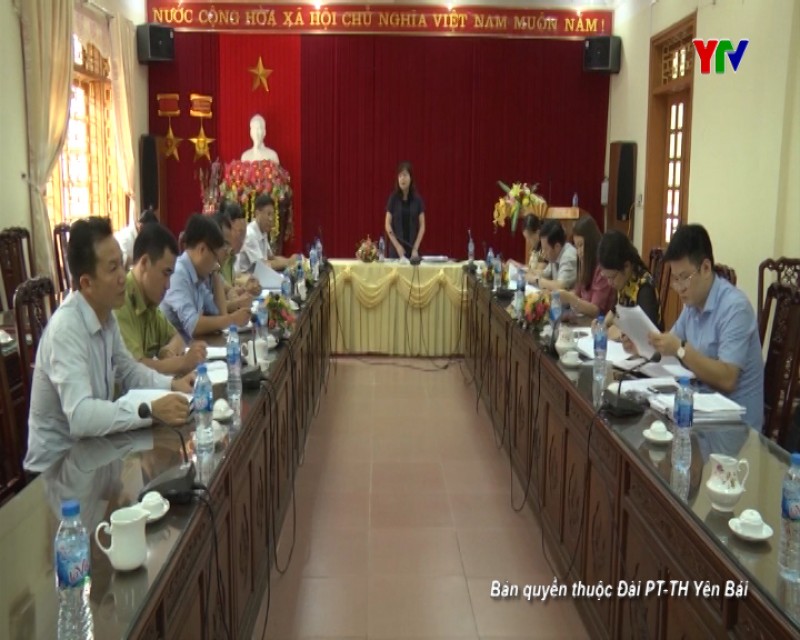 Đồng chí Phó Chủ tịch HĐND tỉnh Hoàng Thị Thanh Bình giám sát công tác quản lý, bảo vệ và phát triển rừng tại huyện Văn Yên