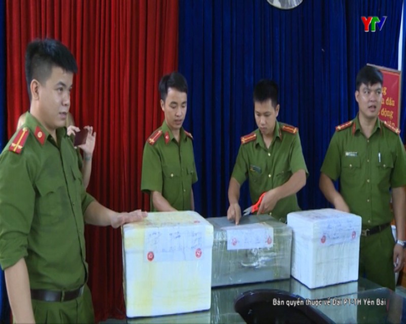 Công an huyện Lục Yên bàn giao 105 kg tiền xu cổ cho Bảo tàng tỉnh Yên Bái
