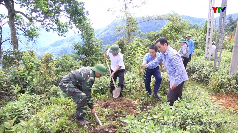 Huyện Mù Cang Chải phát động ra quân trồng rừng cuối năm