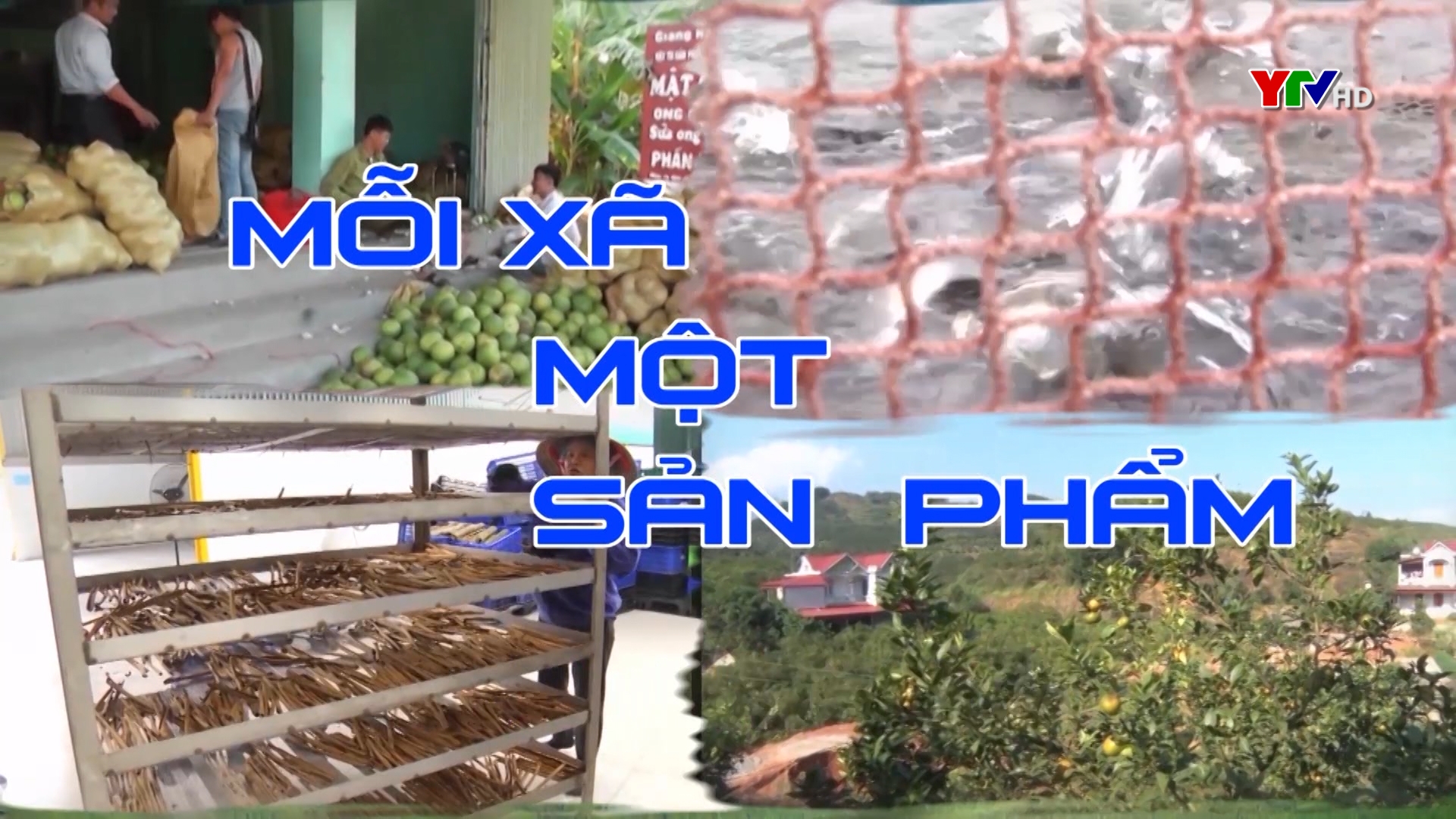 Nuôi gà thương phẩm ở xã Y Can, huyện Trấn Yên