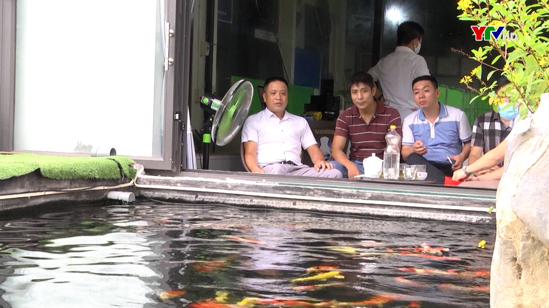 Khởi nghiệp từ trang trại nuôi cá koi đầu tiên tại tỉnh Yên Bái