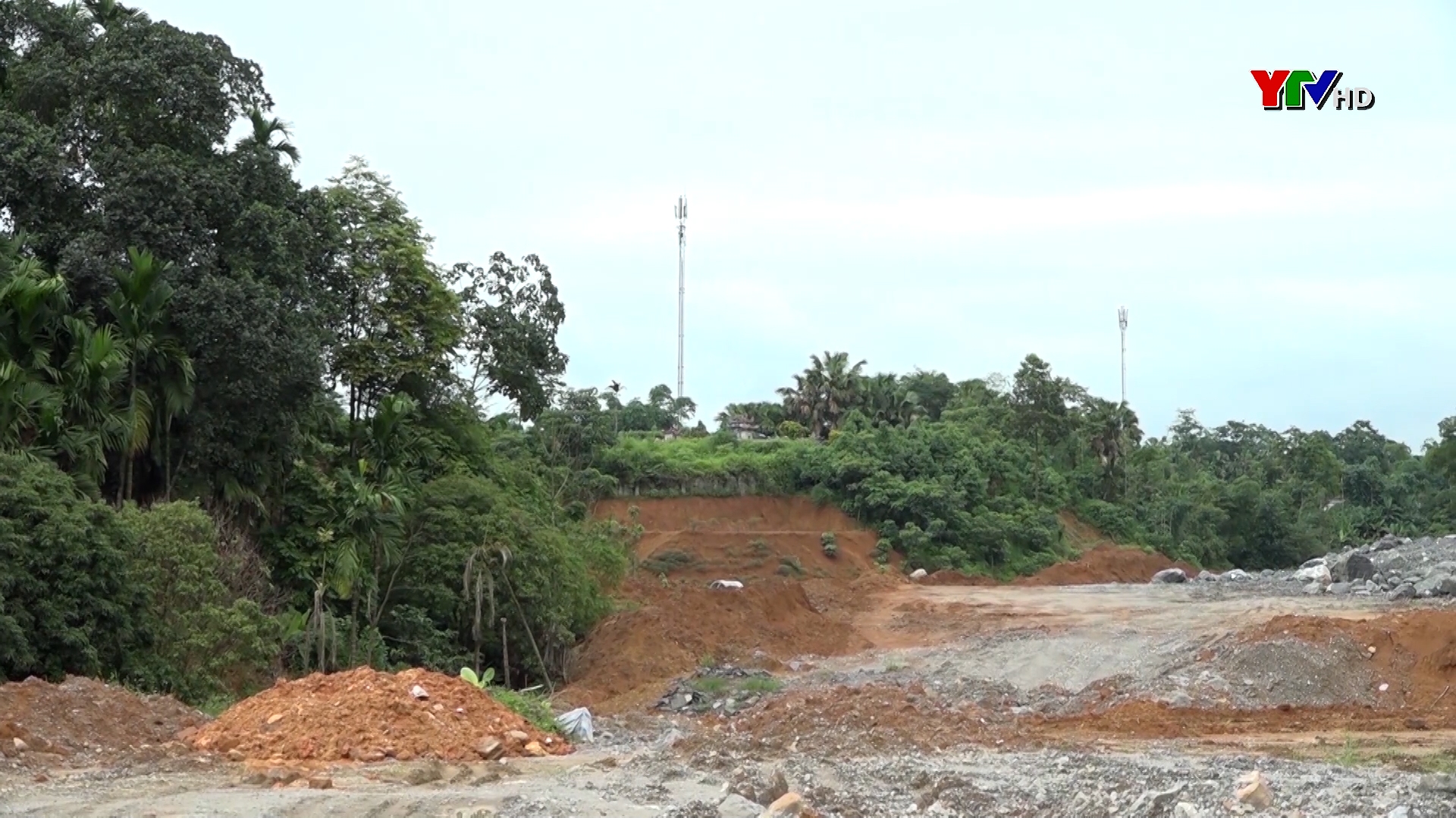 Hơn 170 ha rừng sản xuất được chuyển đổi mục đích sử dụng