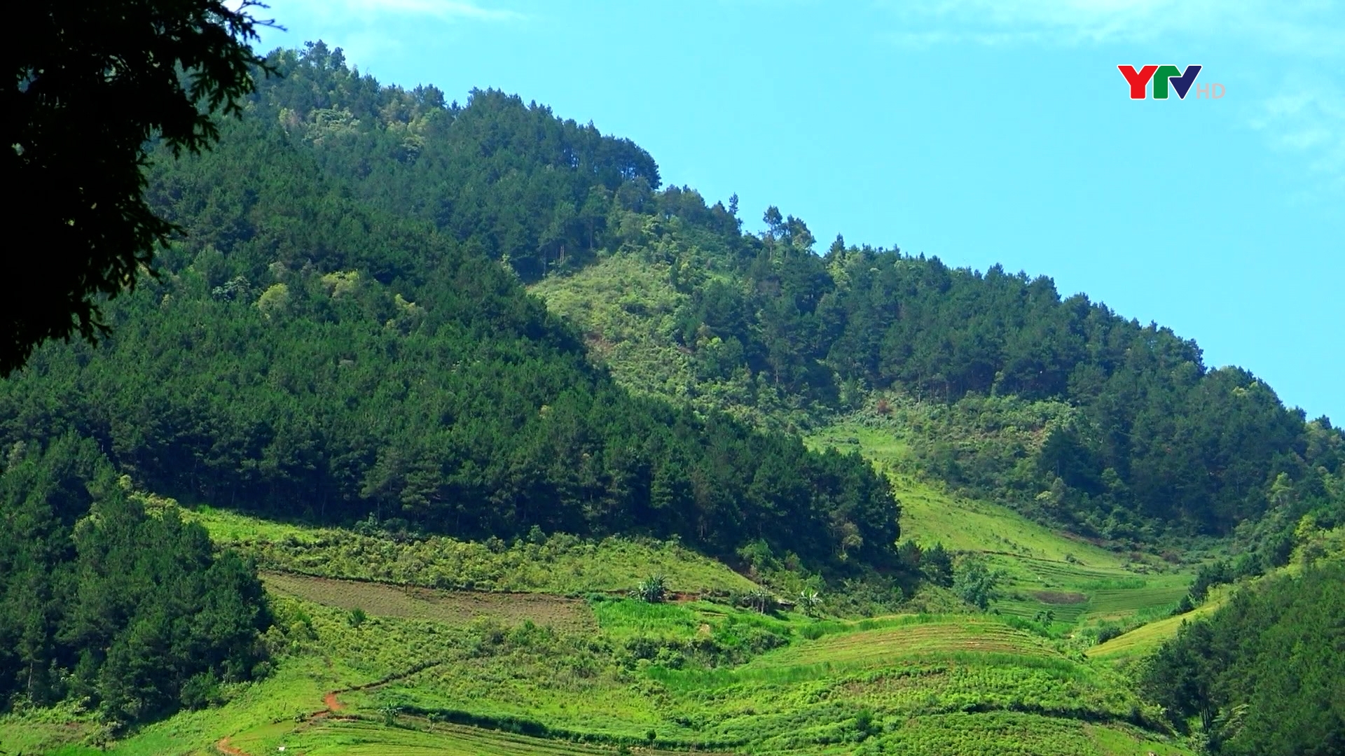 Trạm Tấu: Hiệu quả giữ rừng từ chính sách chi trả dịch vụ môi trường rừng