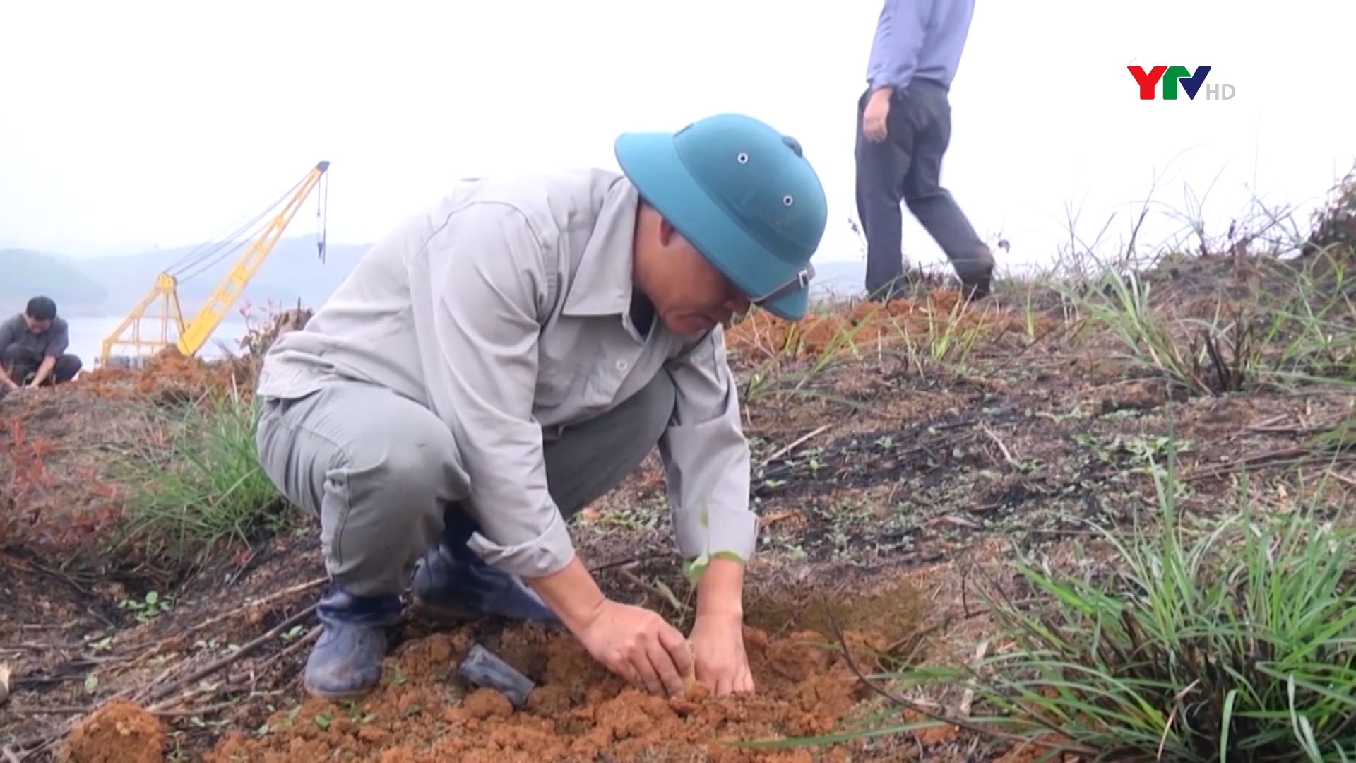 Công ty TNHH-MTV Lâm nghiệp Thác Bà trồng mới 70 ha rừng kinh tế