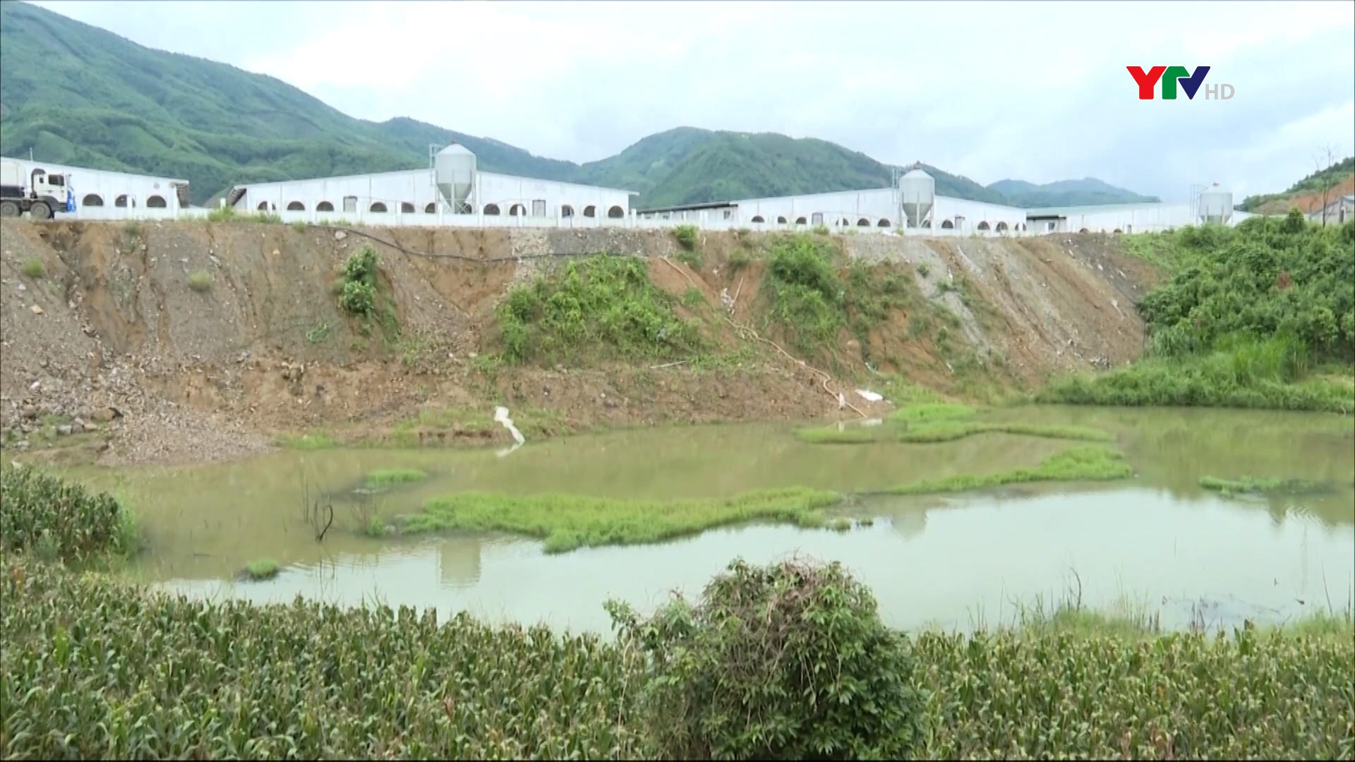 Trang trại nuôi lợn gây ô nhiễm môi trường tại xã Đông An, huyện Văn Yên bị xử phạt gần 300 triệu đồng