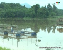 Xã Vân Hội, huyện Trấn Yên với nghị quyết phát triển kinh tế.