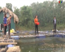 Huyện Yên Bình hỗ trợ 1 tỷ 500 triệu đồng nuôi trồng thủy sản trên Hồ Thác Bà
