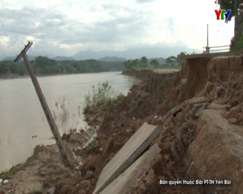 Trấn Yên: Nhiều tuyến đường ven sông Hồng bị sạt lở nghiêm trọng