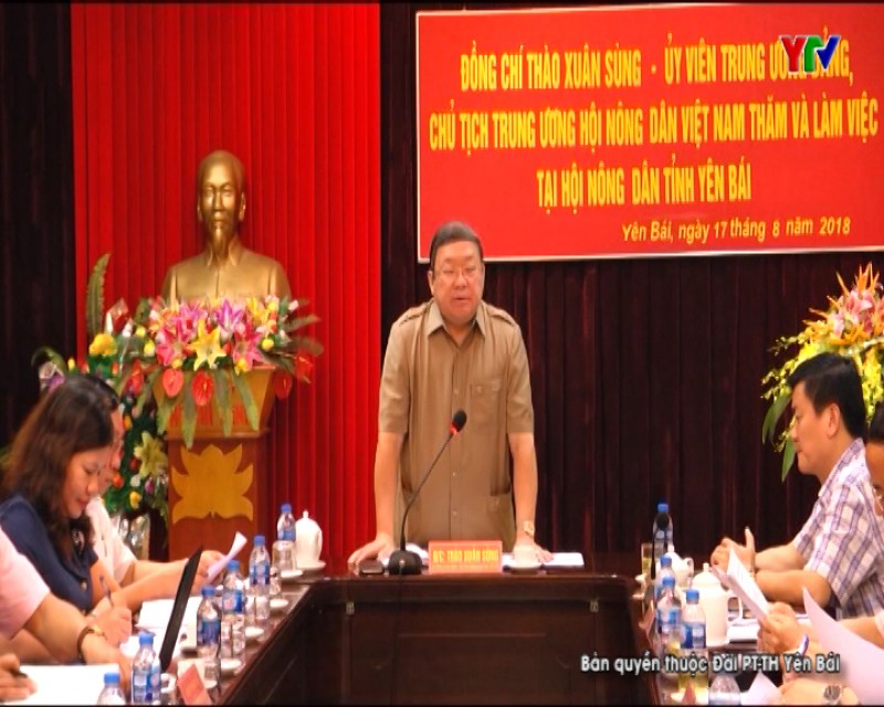 Chủ tịch TW Hội Nông dân Việt Nam Thào Xuân Sùng làm việc tại Hội Nông dân tỉnh