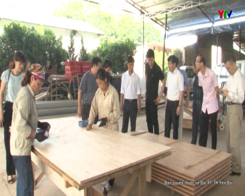 Đoàn công tác của Đại sứ quán Trung Quốc tại Việt Nam khảo sát cơ sở sản xuất, chế biến nông lâm nghiệp tại tỉnh Yên Bái