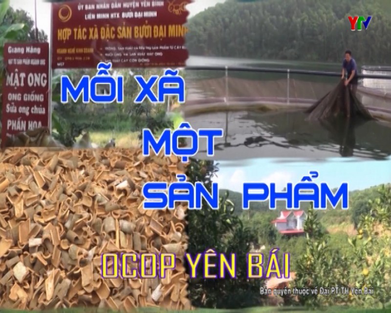 Nghề nuôi cá lồng trên hồ Thác Bà ở xã Vĩnh Kiên, huyện Yên Bình
