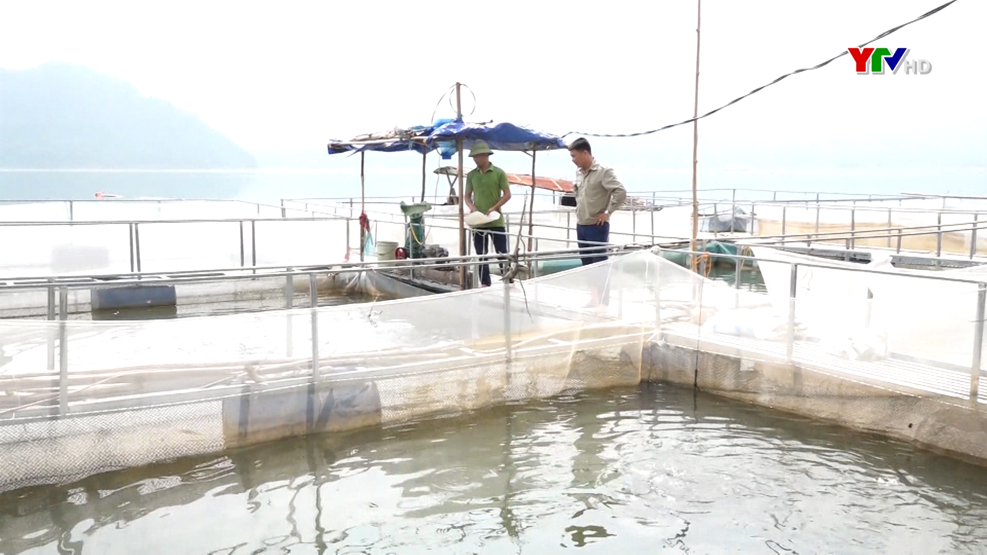 Huyện Lục Yên hỗ trợ đóng mới 10 lồng cá