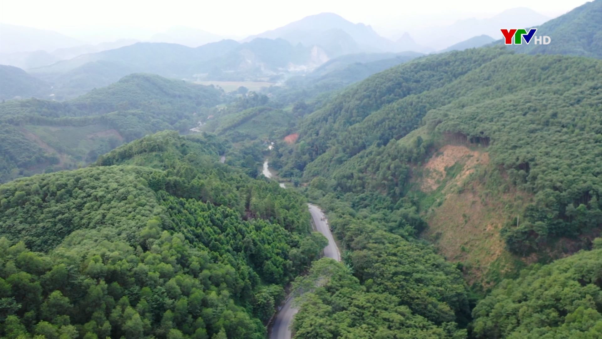 Lục Yên hoàn thành trồng 2.600 ha rừng
