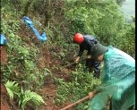 Tuổi trẻ Trạm Tấu trồng 40 ha rừng sơn tra