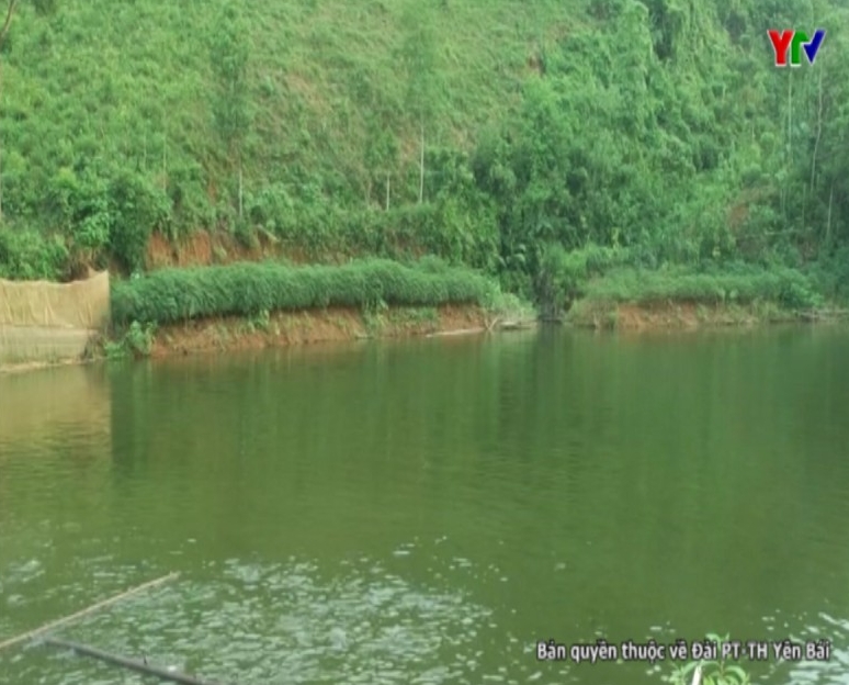 Hiệu quả của CLB nuôi cá nước ngọt xã Quy Mông huyện Trấn Yên