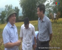 Đoàn công tác của Sở Nông nghiệp và PTNT kiểm tra tiến độ sản xuất vụ đông tại huyện Văn Chấn
