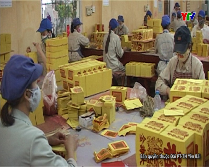 Công ty CP Lâm nông sản thực phẩm Yên Bái đẩy mạnh sản xuất kinh doanh