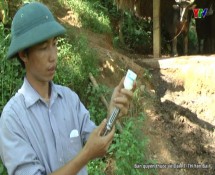 Chi cục thú y tỉnh Yên Bái tiêm phòng trên 730 nghìn liều vắc xin cho đàn gia súc, gia cầm