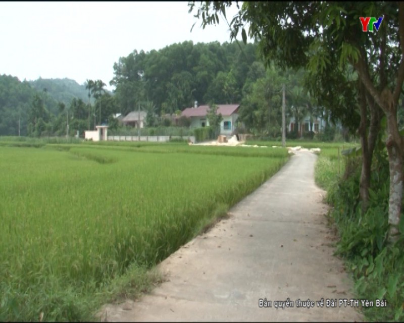 Thôn Làng Đình, xã Phúc Lộc, thành phố Yên Bái - Điểm sáng trong thực hiện Chỉ thị 05 của Bộ Chính trị