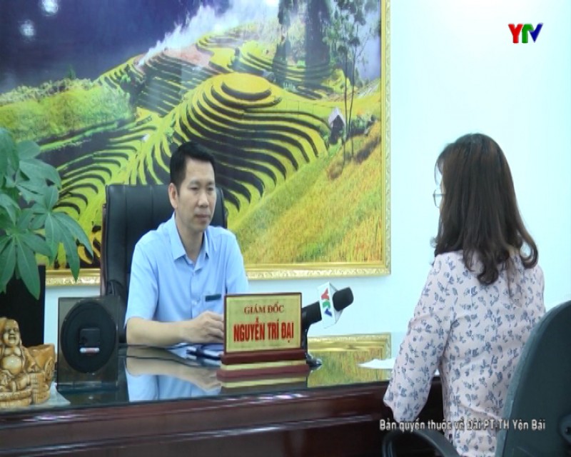 Yên Bái thực hiện thí điểm Đề án Đổi mới, sắp xếp tổ chức bộ máy của Bảo hiểm xã hội Việt Nam