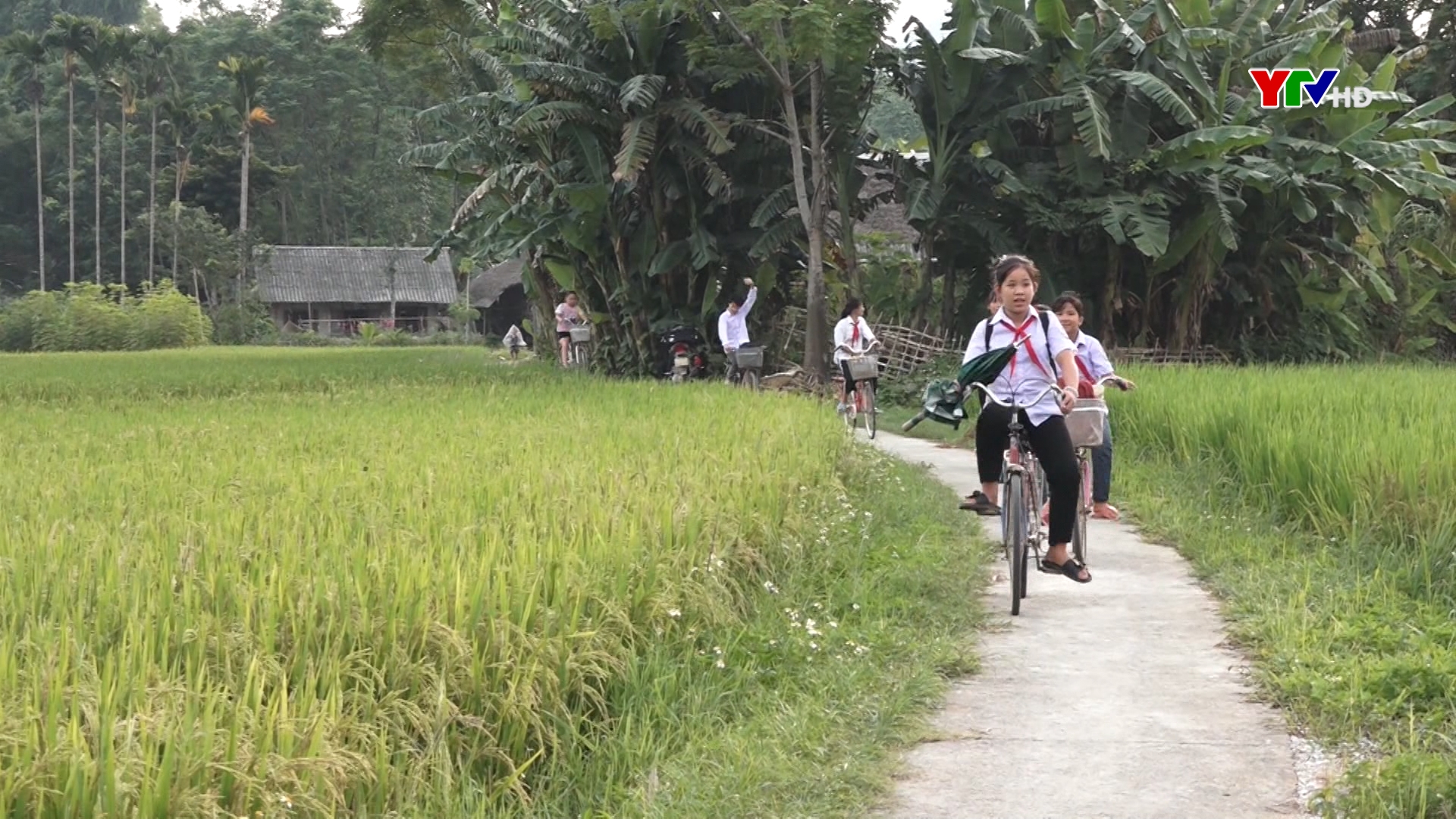 Lan tỏa những công trình “ Con đường em đến trường” ở huyện Lục Yên