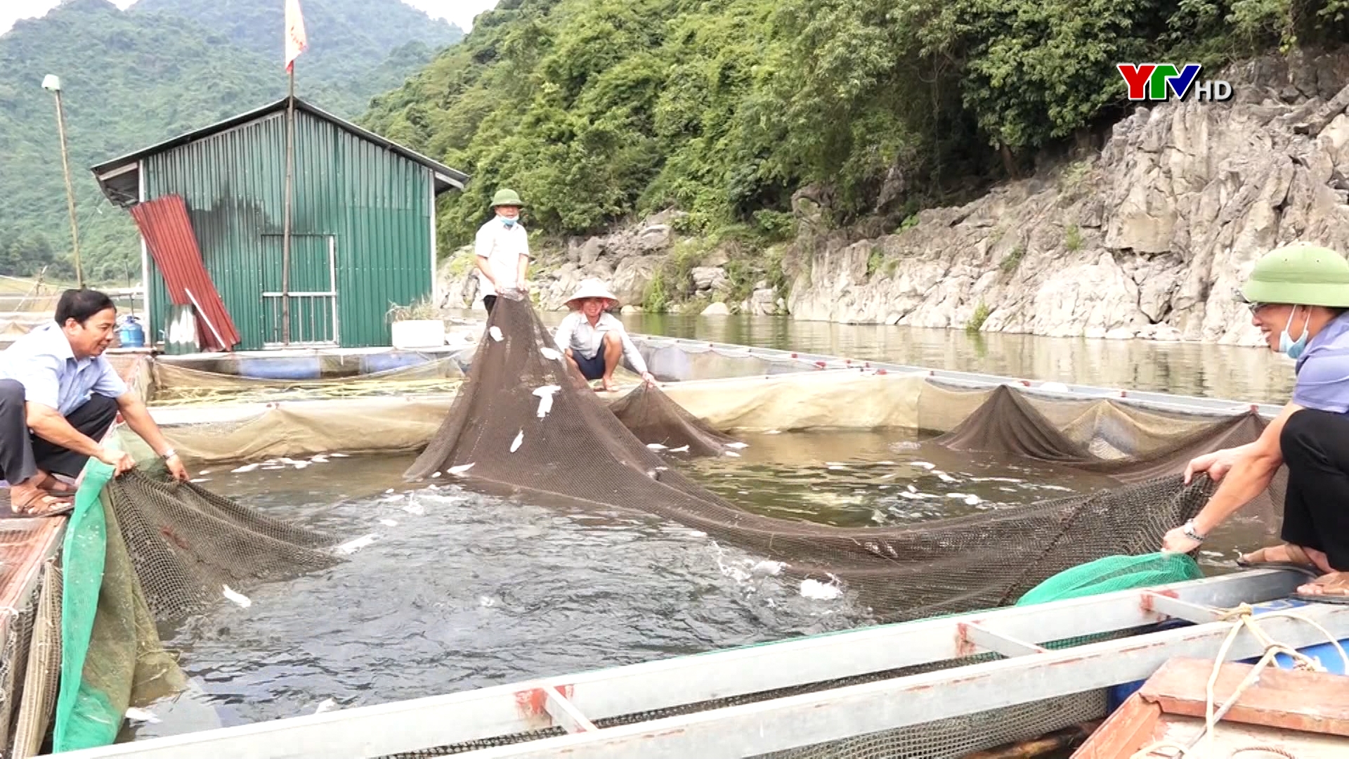 Nuôi cá lồng – Hướng phát triển kinh tế bền vững ở xã Phan Thanh, huyện Lục Yên