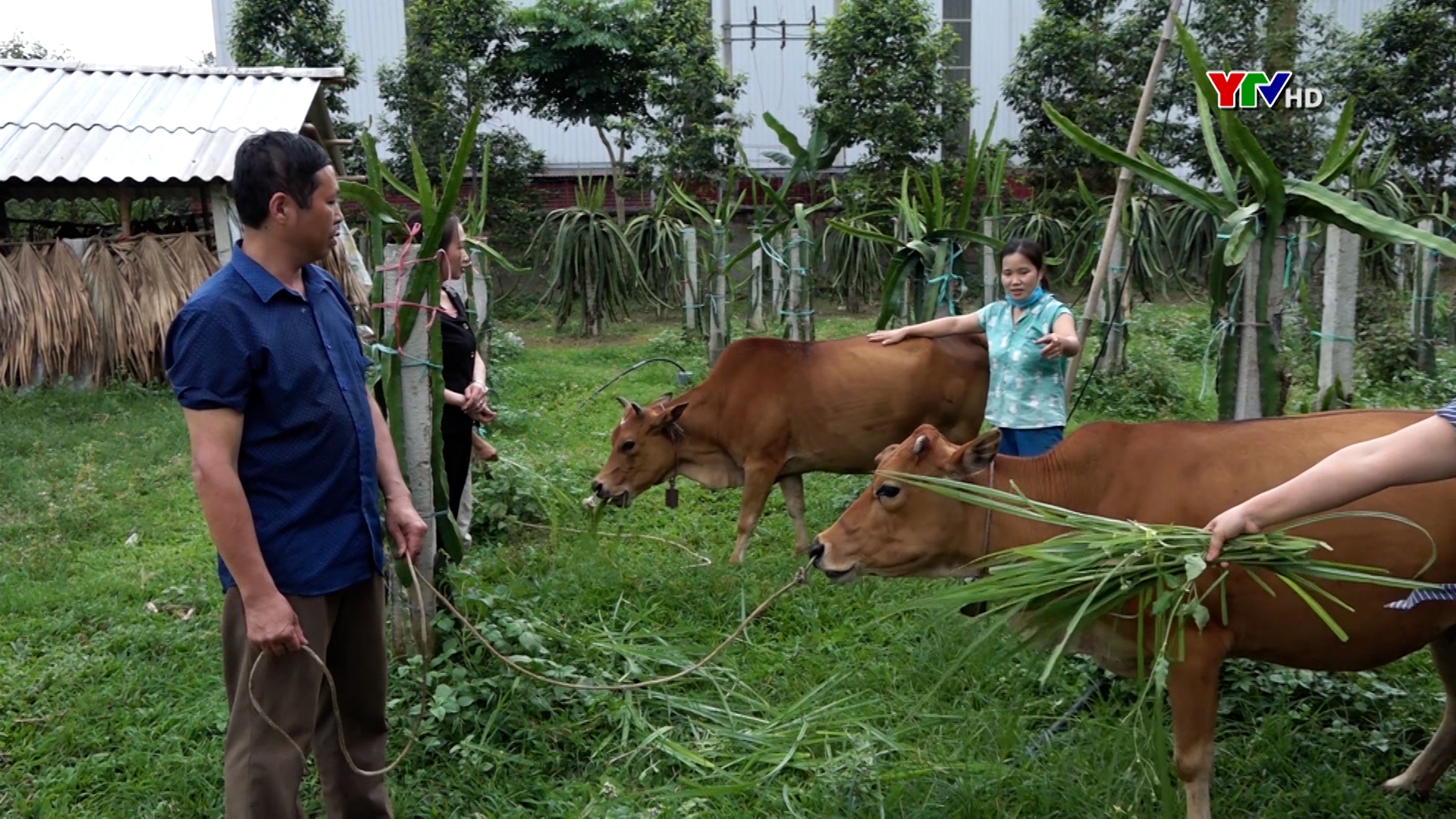 Lục Yên: 30 hội viên nông dân được vay vốn ưu đãi từ Quỹ Hỗ trợ nông dân Trung ương