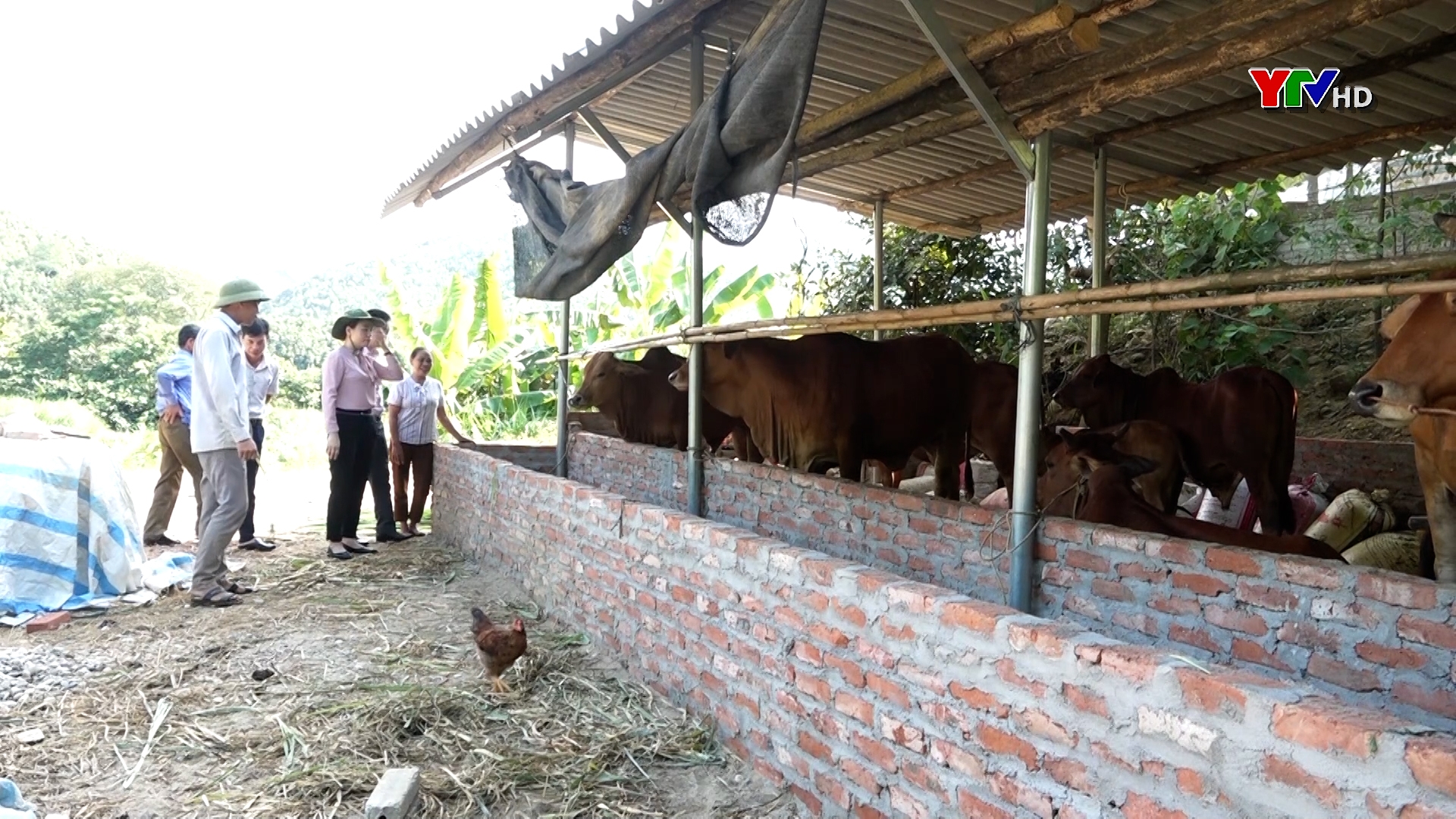 Văn Yên nhân rộng các mô hình giảm nghèo hiệu quả