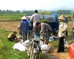 Huyện Trấn Yên tập trung thu hoạch lúa mùa