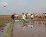 Phong trào thi đua của Hội Nông dân huyện Trấn Yên