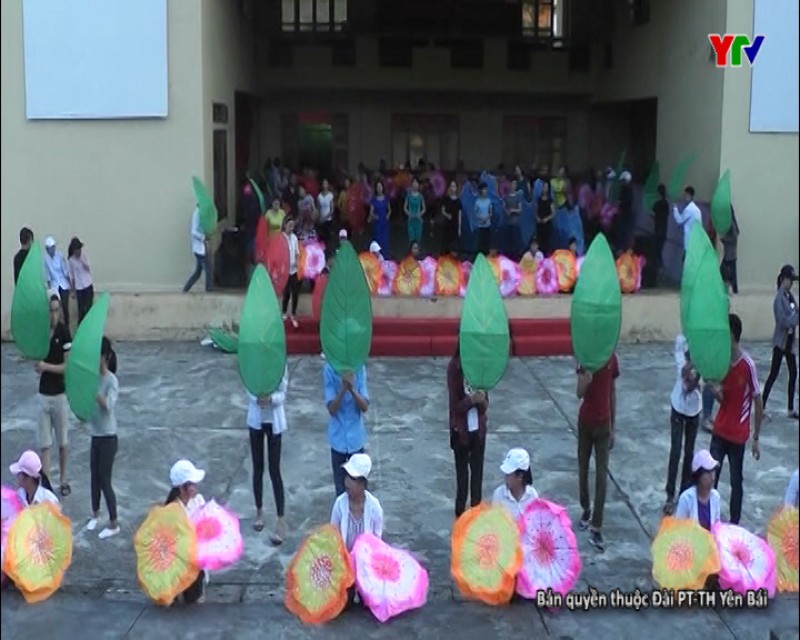 Sẵn sàng cho Lễ hội quế huyện Văn Yên năm 2016